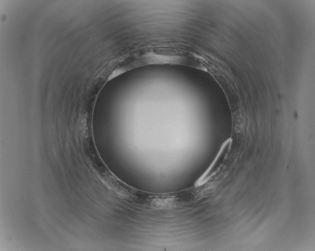 X0000075340560200609251014