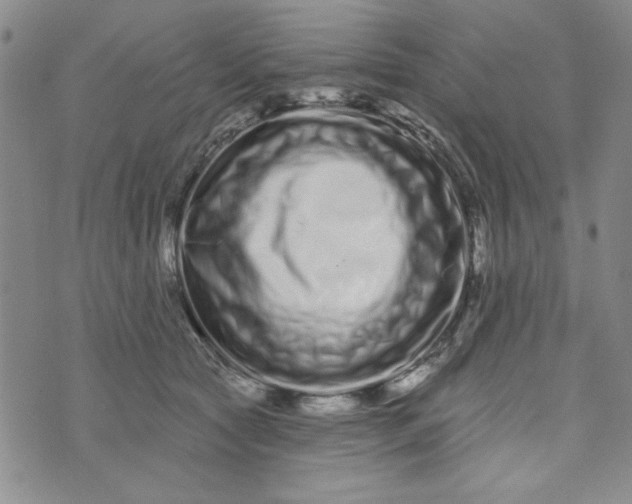 X0000075340561200609251014