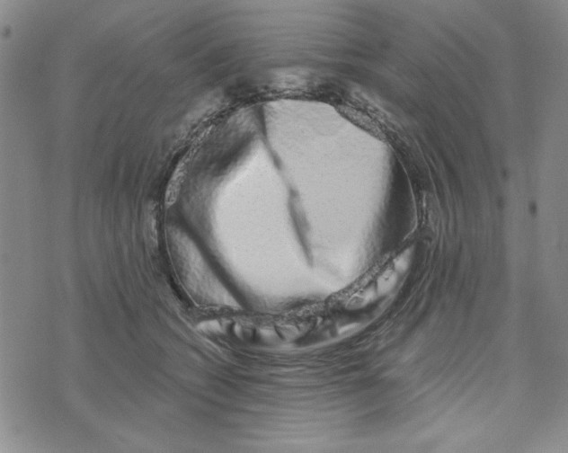 X0000075340562200609251015