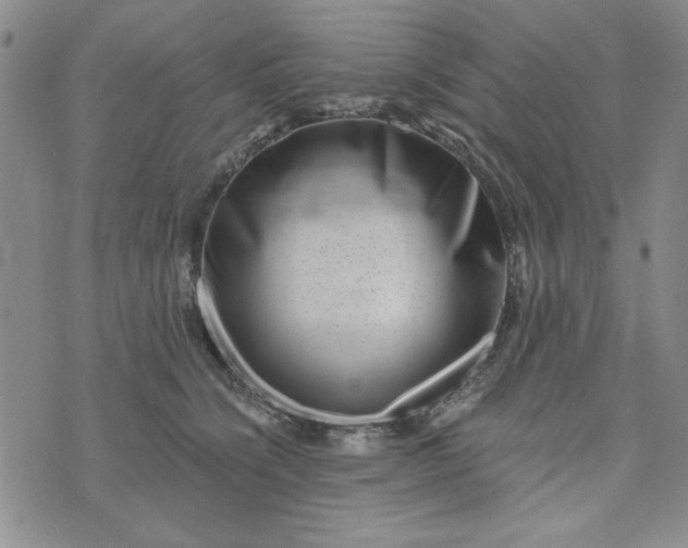 X0000075340564200609251015