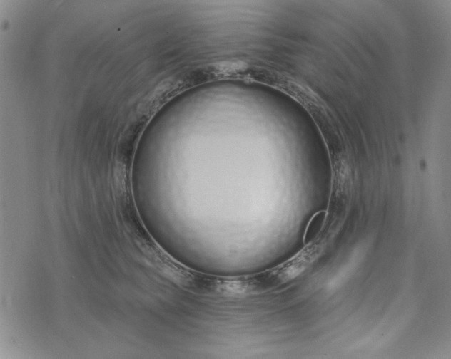 X0000075340565200609251015