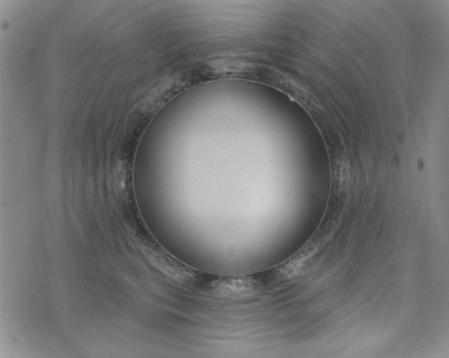 X0000075340567200609251015