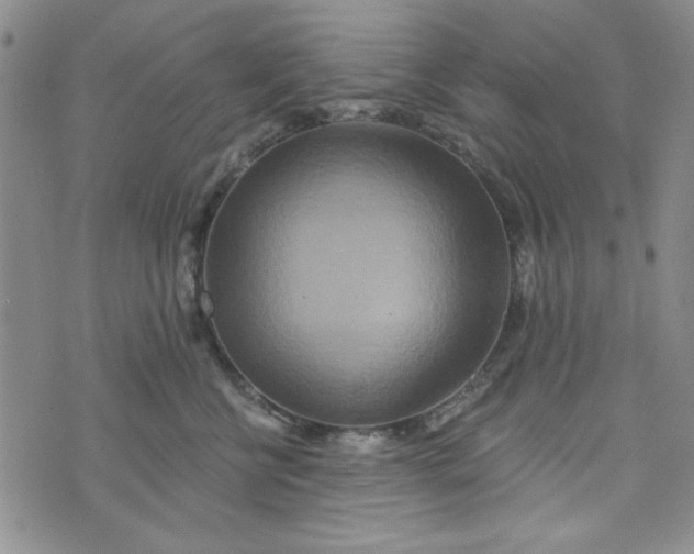 X0000075340570200609251015