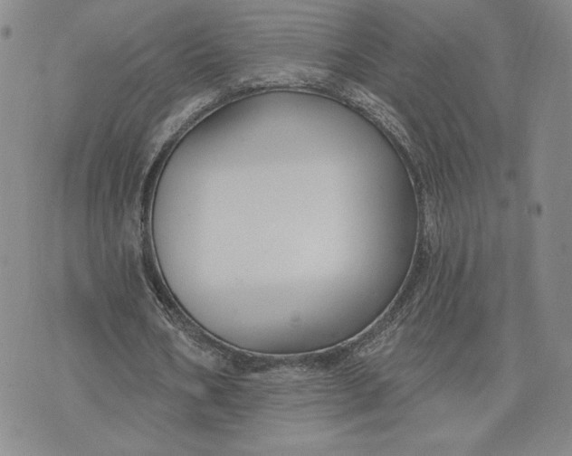 X0000075340578200609251014