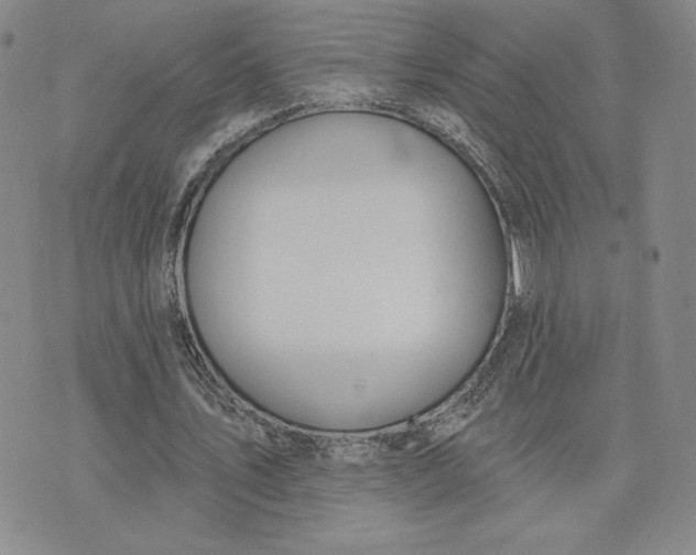 X0000075340579200609251014