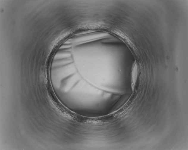 X0000075340582200609251014