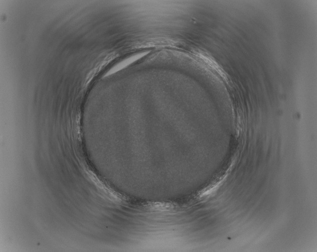 X0000075340585200609251014