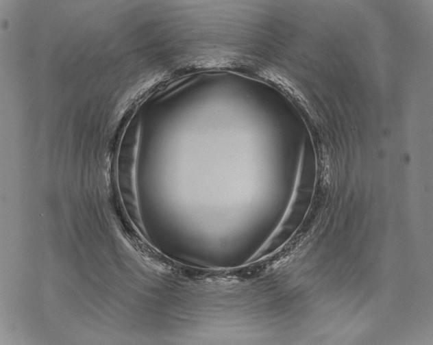 X0000075340586200609251014