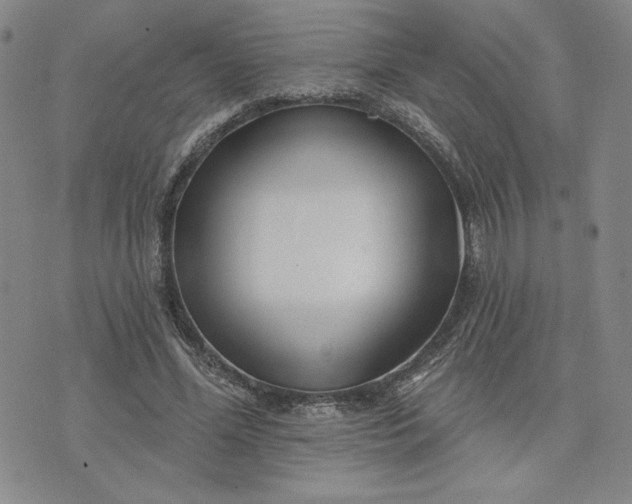 X0000075340588200609251014