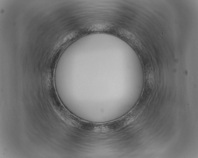 X0000075340591200609251014