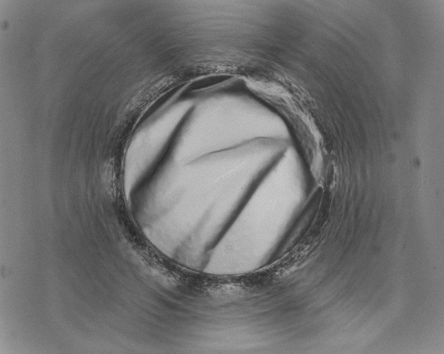 X0000075340594200609251014