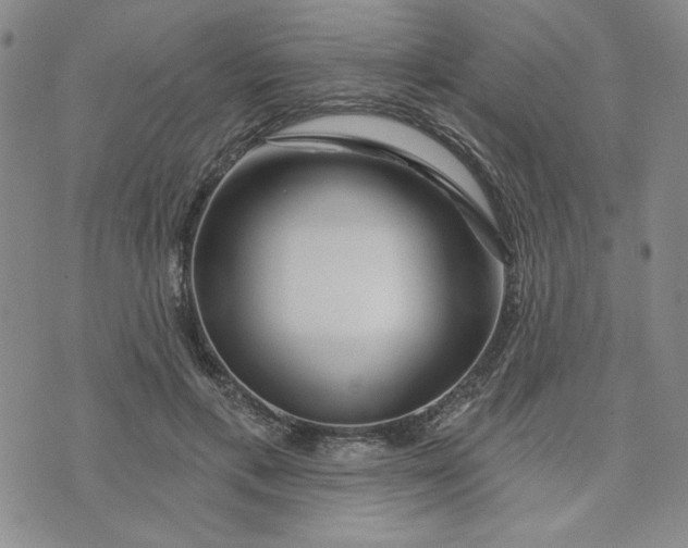 X0000075340597200609251014
