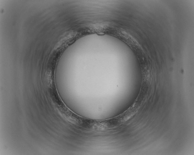 X0000075340599200609251014