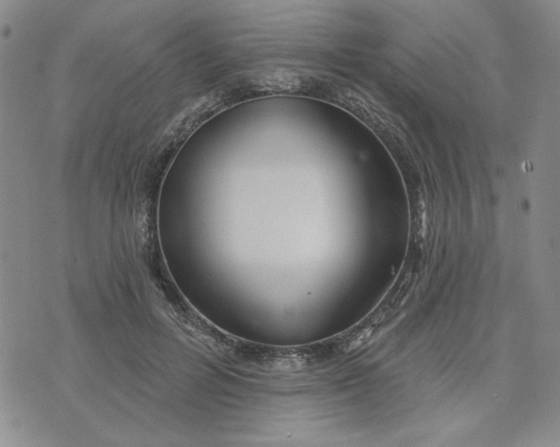 X0000075340600200609251014