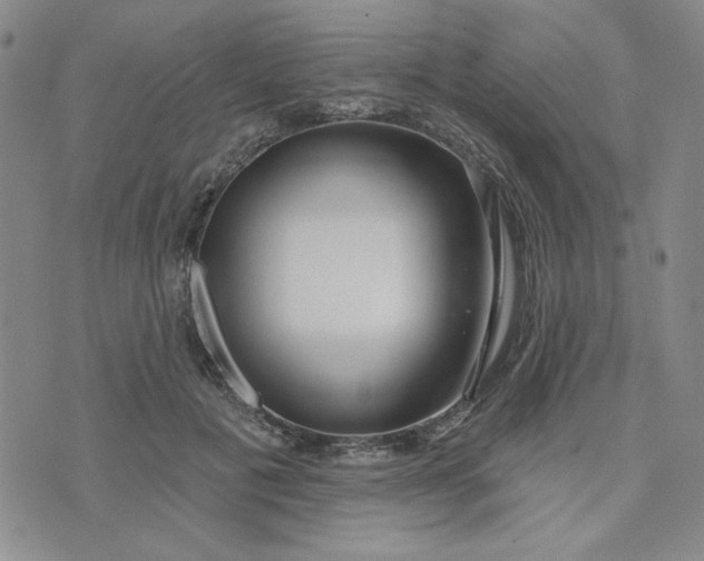 X0000075340601200609251014