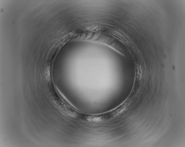 X0000075340602200609251014