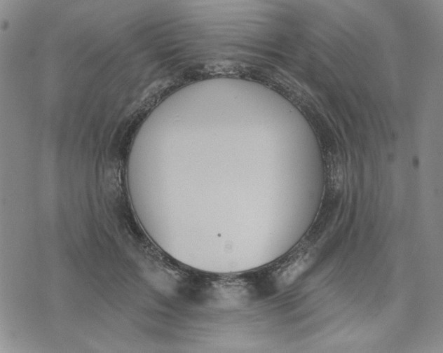 X0000075340603200609251014