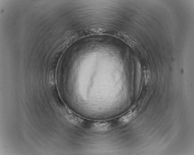 X0000075340606200609251013