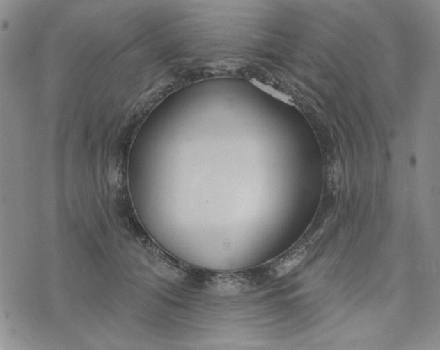 X0000075340608200609251013