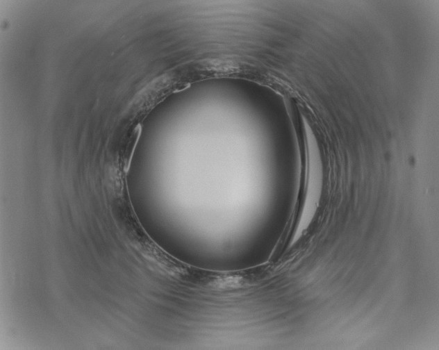 X0000075340609200609251013