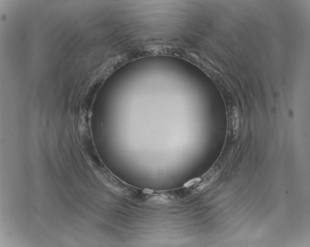 X0000075340611200609251013