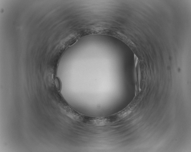 X0000075340615200609251013