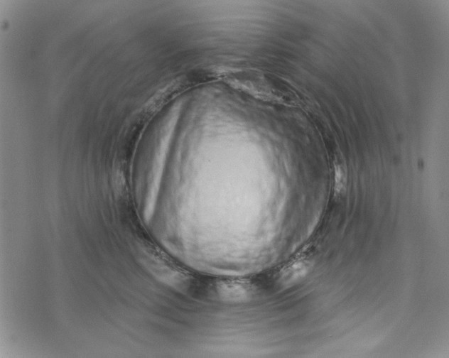 X0000075340618200609251013