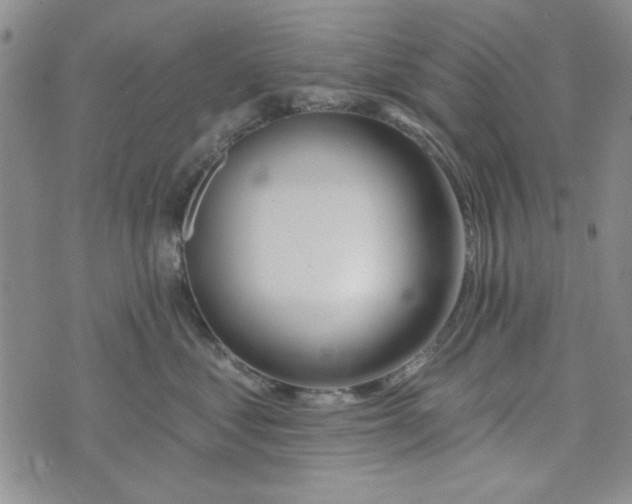 X0000075340621200609251013