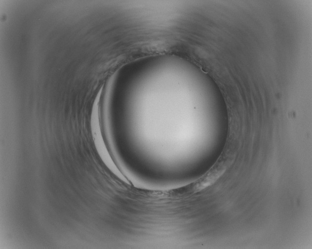 X0000075340624200609251013