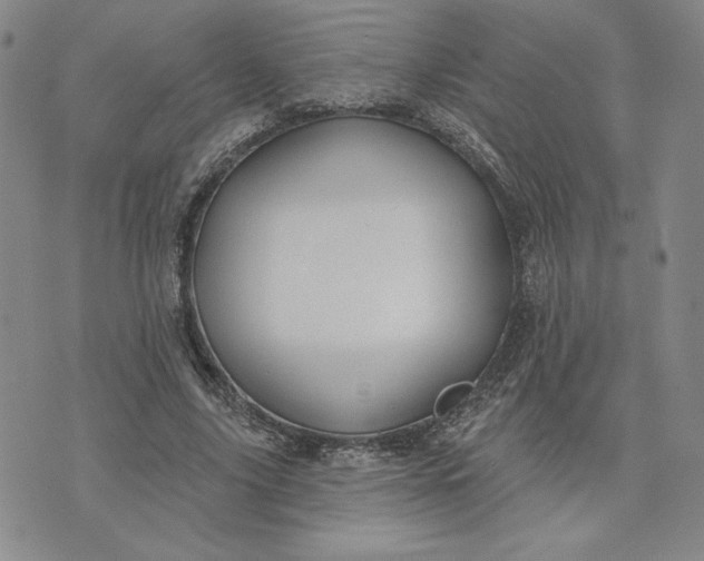X0000075340635200609251013