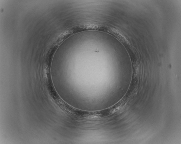 X0000075340643200609251013