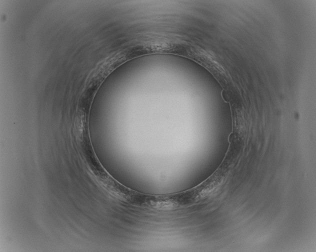 X0000075340645200609251013