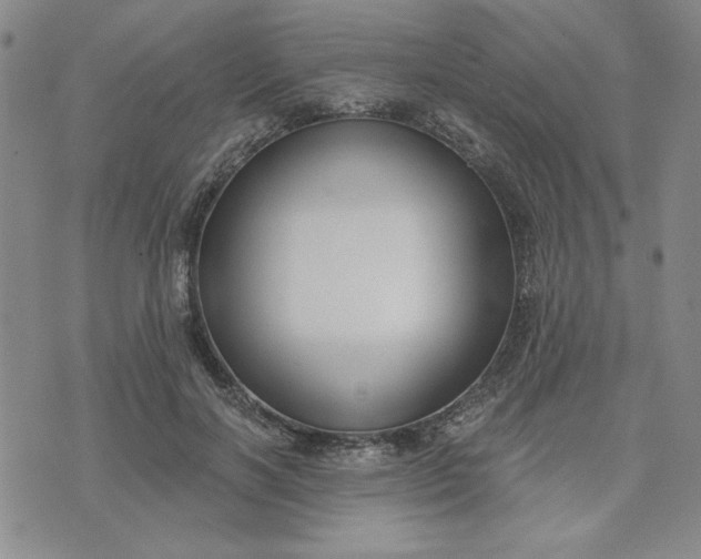 X0000075340646200609251013