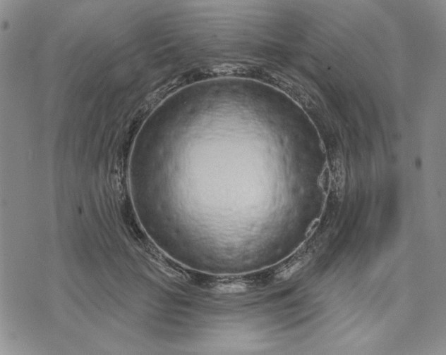 X0000075340653200609251013