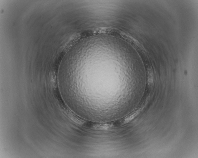 X0000075340661200609251013