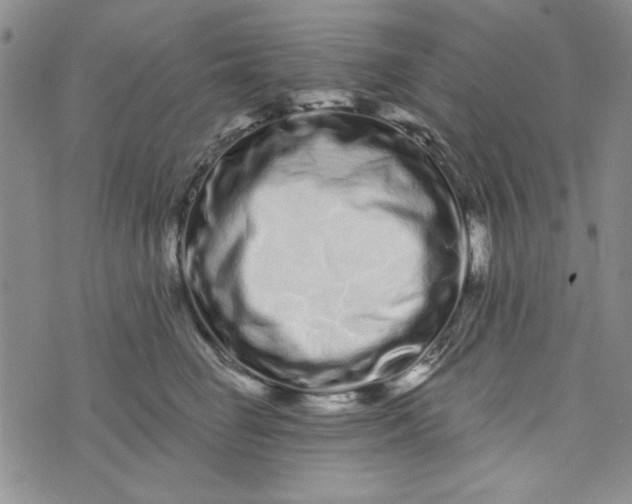 X0000075340662200609251013