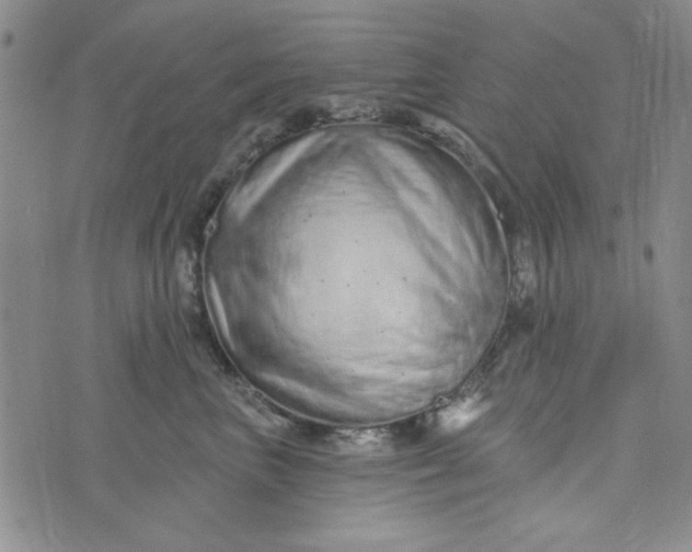 X0000075340667200609251013