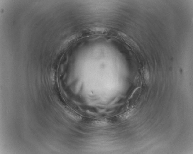 X0000075340668200609251013