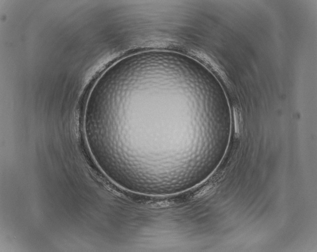 X0000075340675200609251012