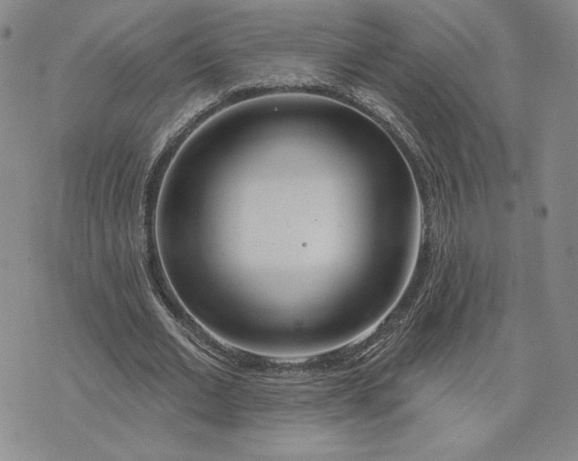 X0000075340677200609251012