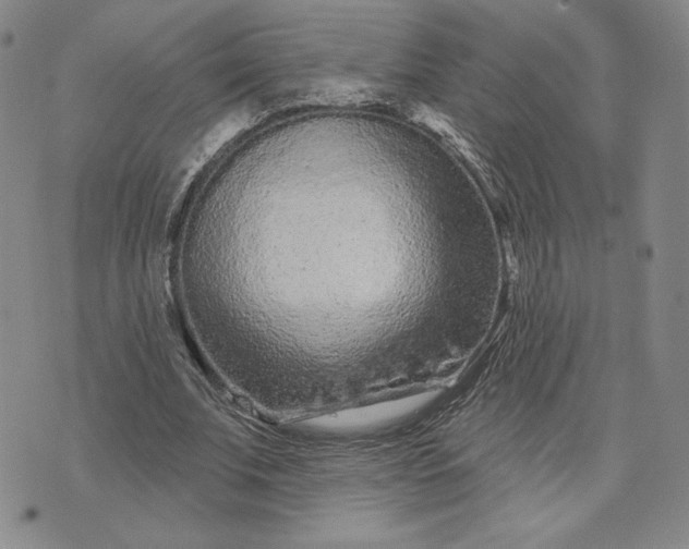 X0000075340679200609251012