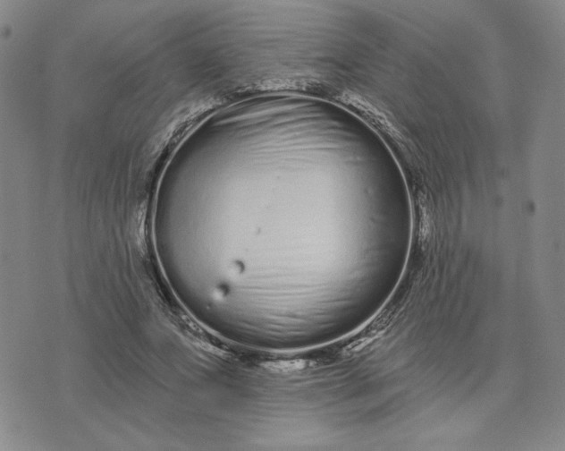 X0000075340687200609251012