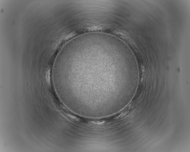 X0000075340691200609251012