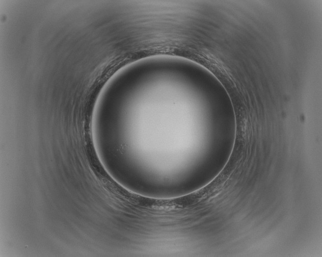 X0000075340693200609251012
