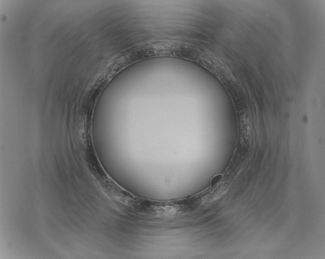 X0000075340698200609251012