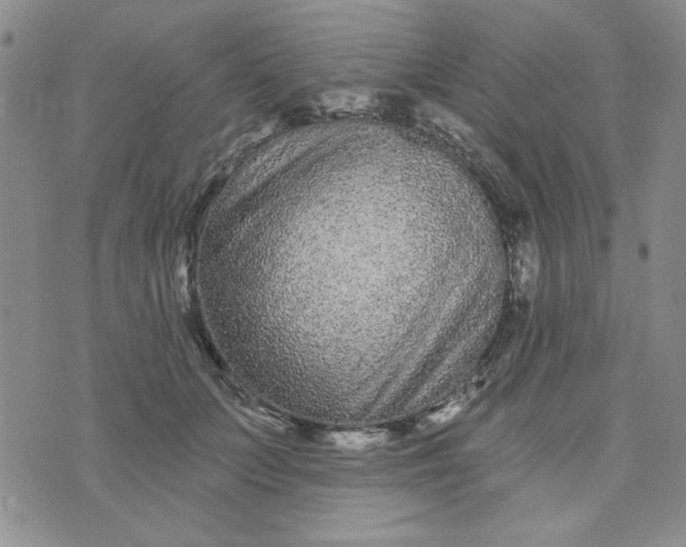 X0000075340703200609251012
