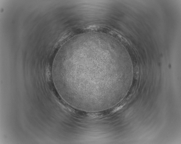 X0000075340707200609251012