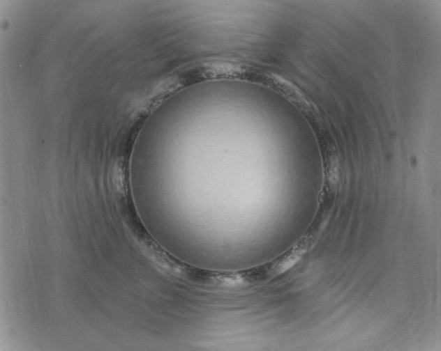 X0000075340715200609251012
