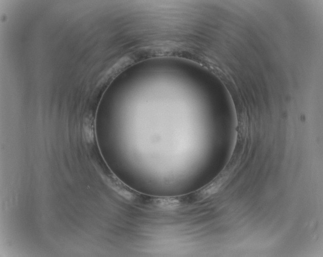 X0000075340719200609251012
