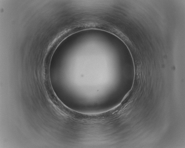 X0000075340722200609251011
